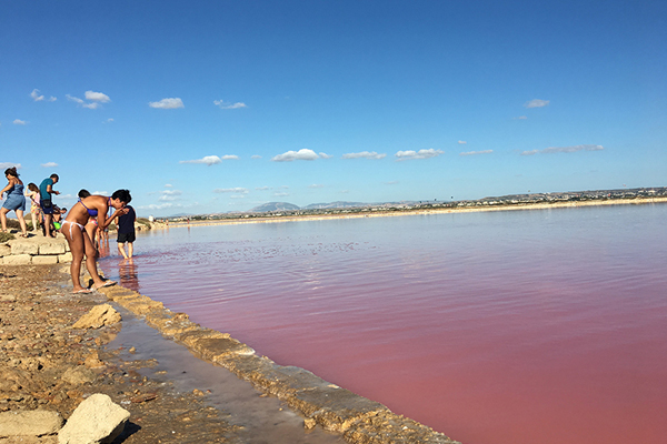 Saline-Stagnone